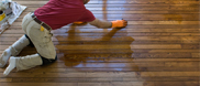 Floor Restoration